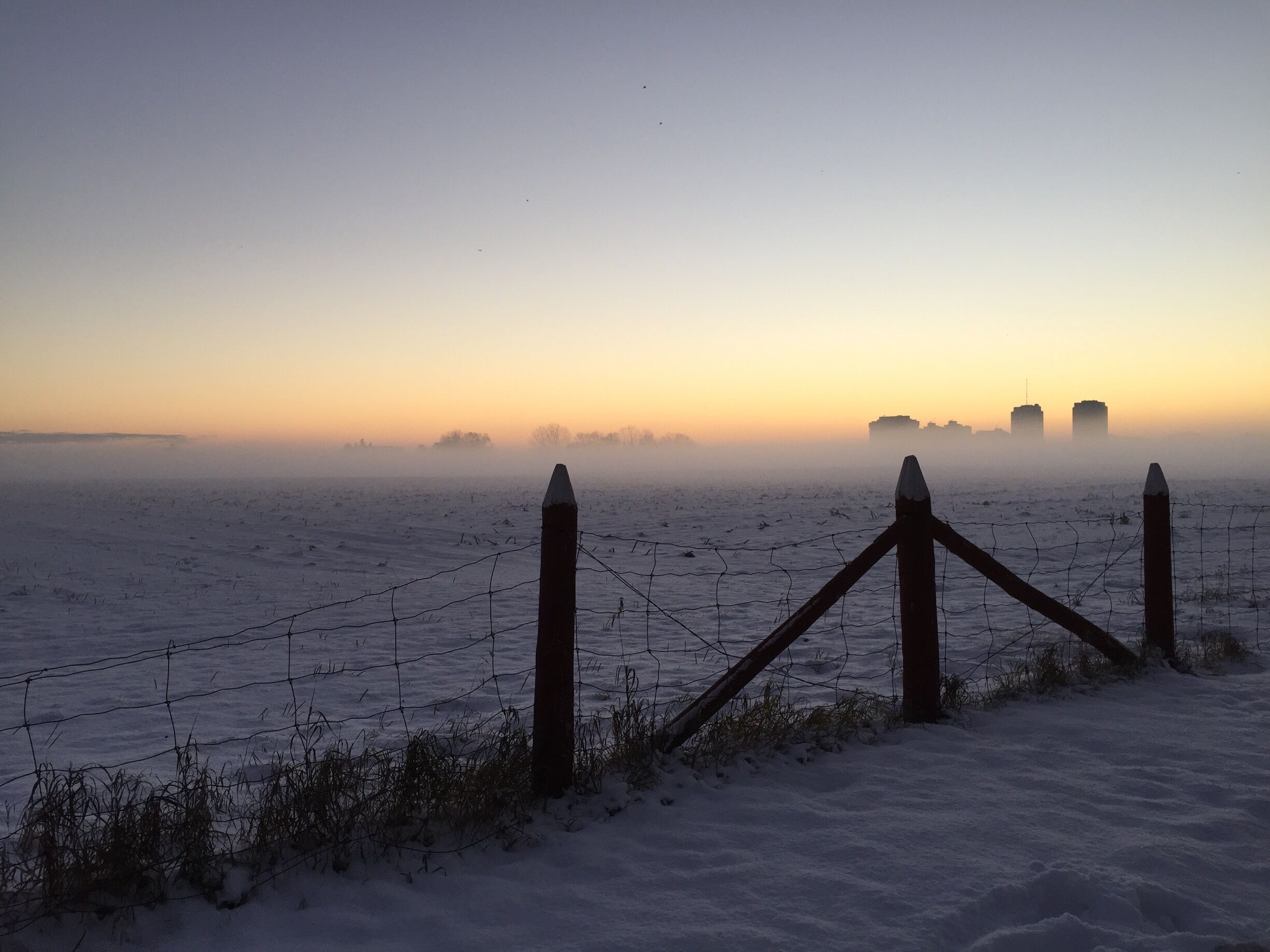 A wintry morning over the Experimental Farm. 