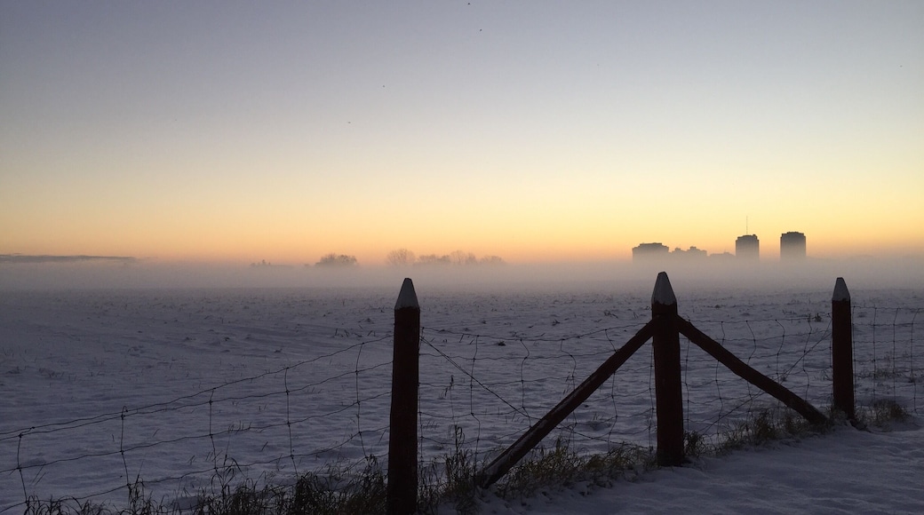 A wintry morning over the Experimental Farm.