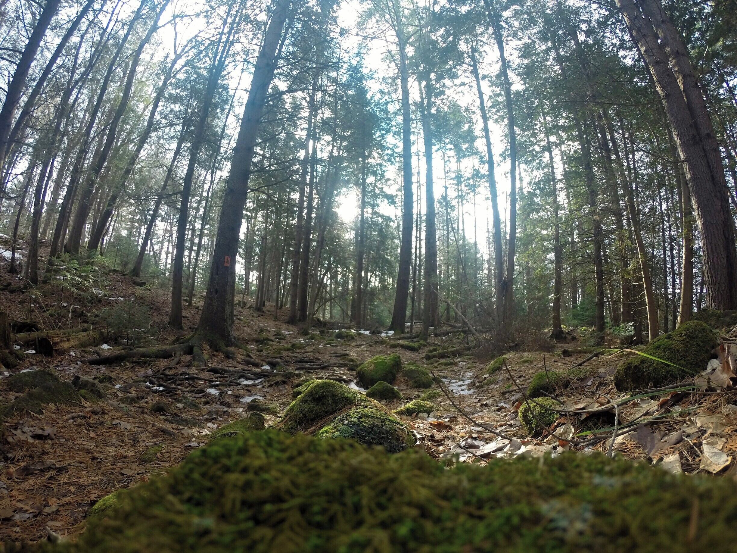 Really great spot, can you believe it was winter?