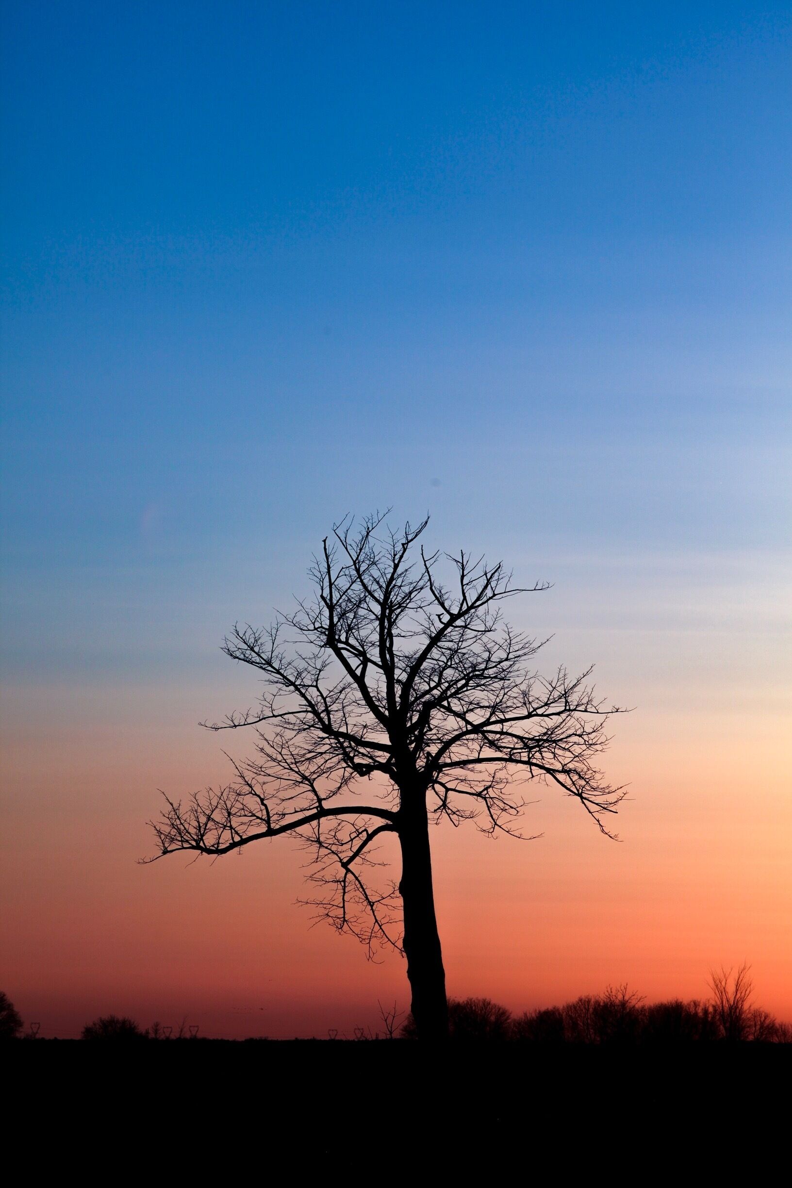 Munster Hamlet-Richmond