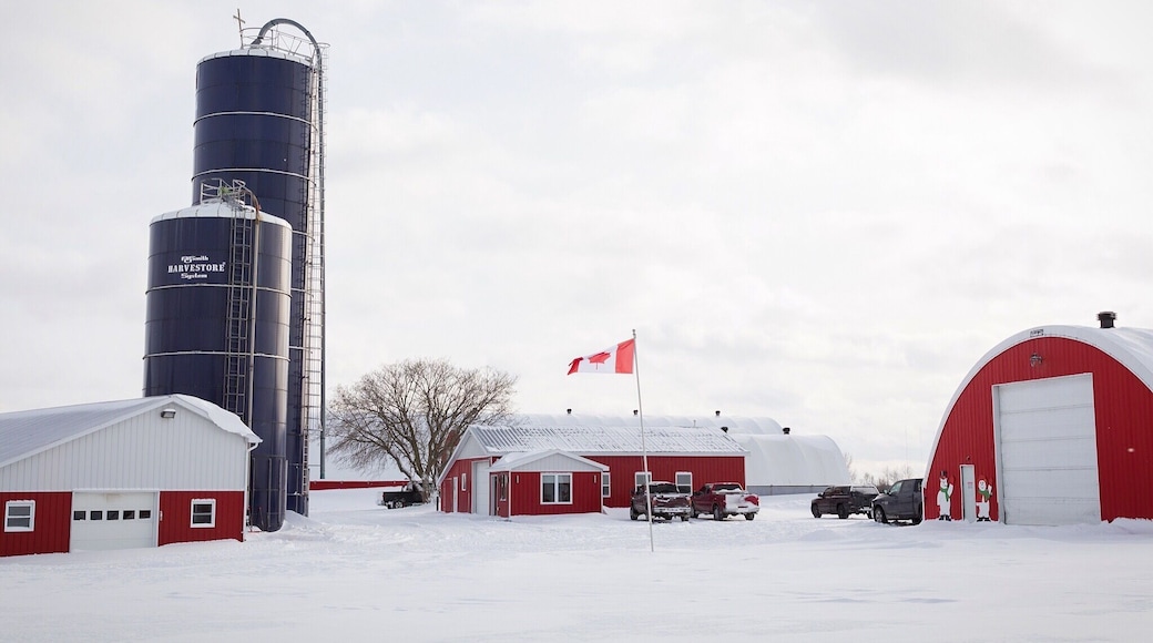 Red barn and fresh snow on a White Christmas in Barrhaven, ON.