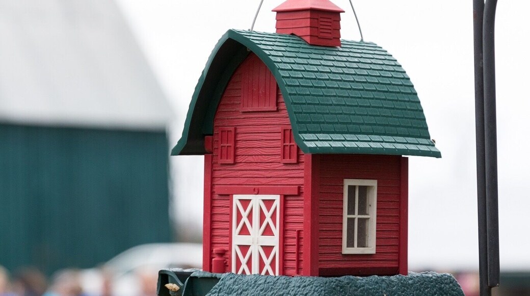 Love the Millers' Farm in Manotick!