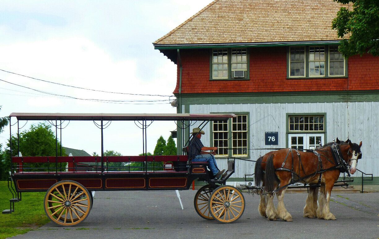 This museum is also a working farm, right in the centre of Ottawa, Canada's capital.  There are wagon rides, animals to visit, and fresh corn on the cob.  Great for the kids and the kid in you.
#localgem