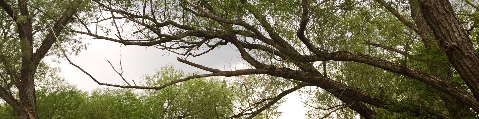 Visiting Ottawa and couldn't miss this place.