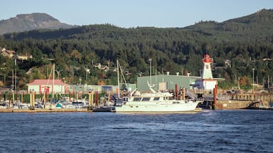 View of Harbour Quay Marina in Port Alberni