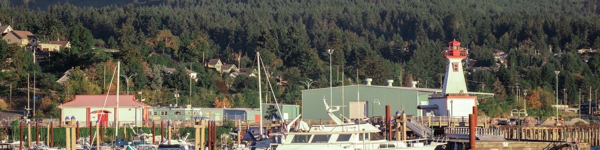 Un puerto con un faro, barcos y una montaña boscosa al fondo.