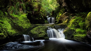 A multi-tiered waterfall in a moss-covered forest.