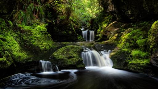 A multi-tiered waterfall in a moss-covered forest.