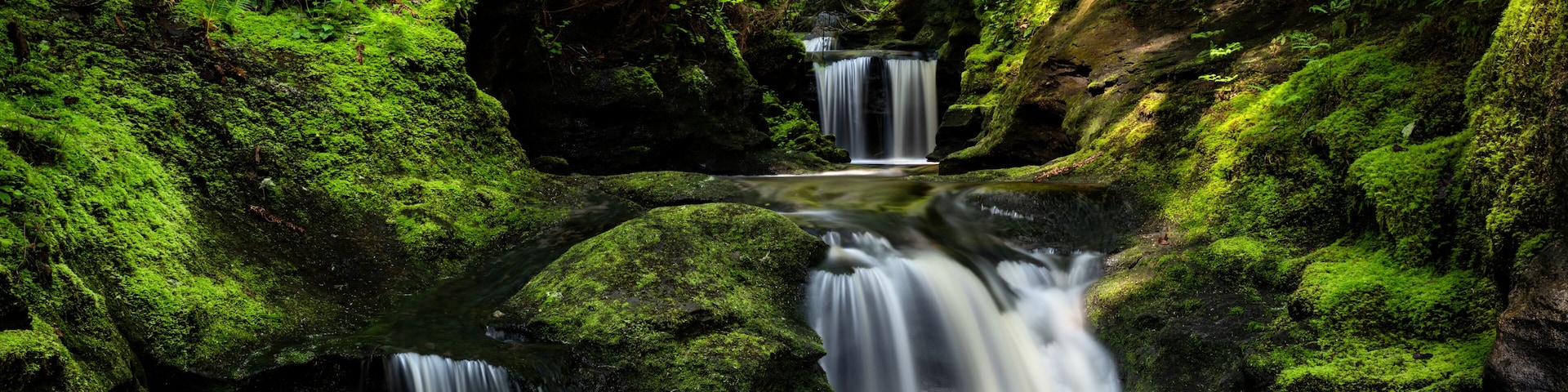 Una cascada escalonada en un bosque cubierto de musgo.