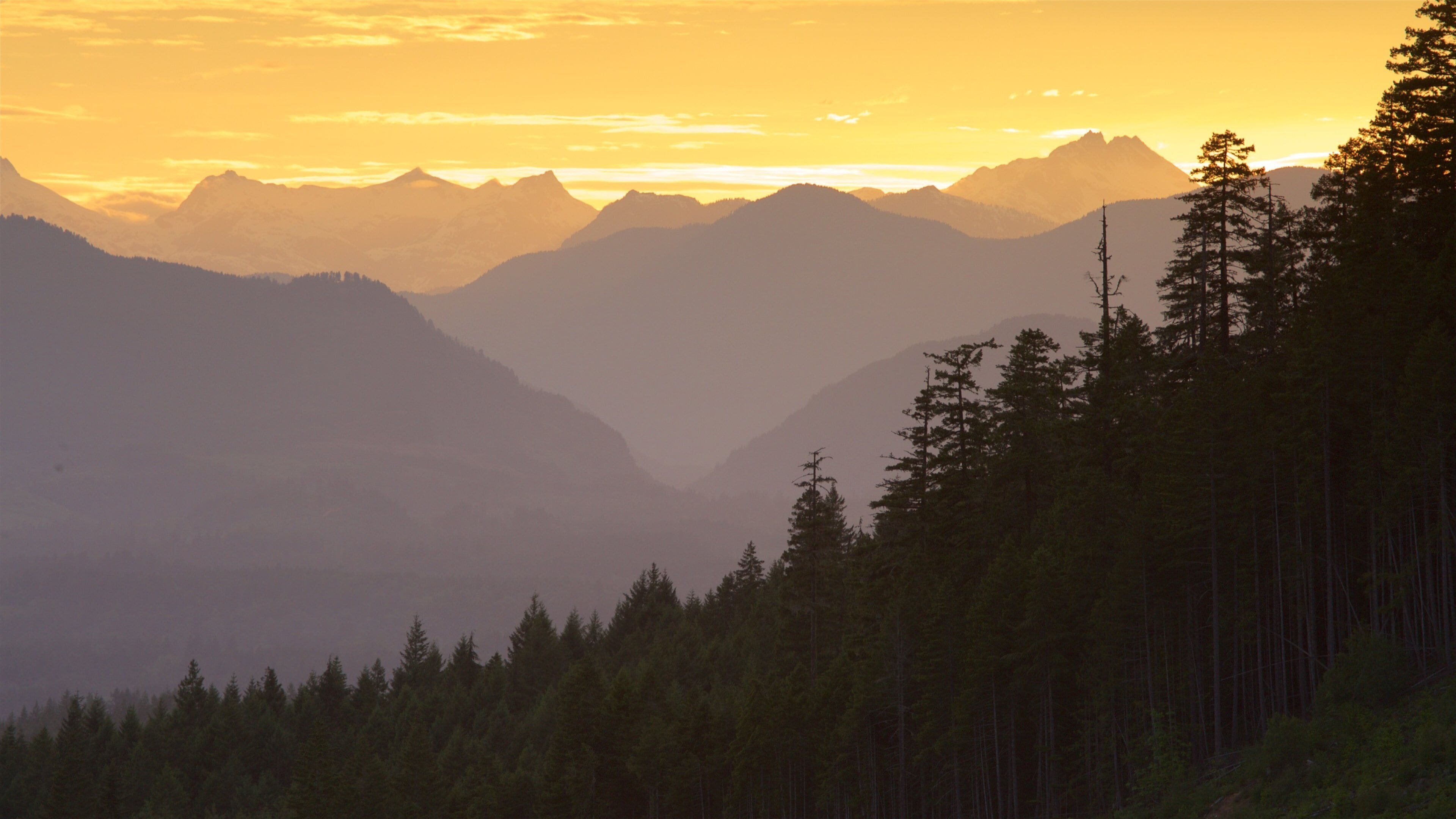 Port Alberni featuring landscape views, tranquil scenes and a sunset