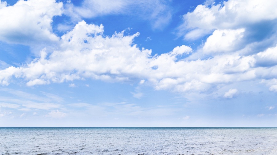 Alpena showing tranquil scenes