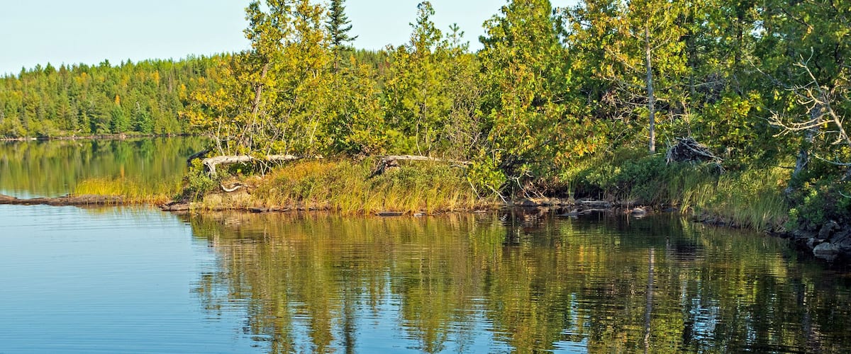 A calm lake with clear water reflecting trees and a forest in the background.