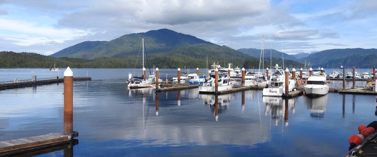 A marina with boats docked, surrounded by mountains and a clear sky.