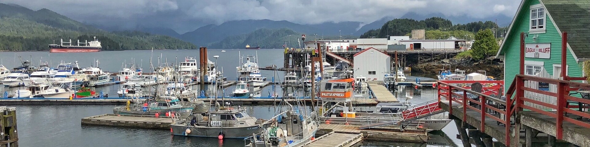 Harbour in Prince Rupert, Northern BC- I love harbours- a couple of seals lolling around the harbour to set the scene
