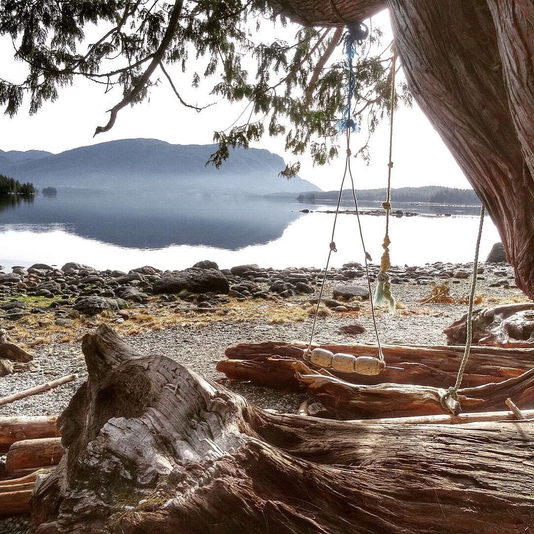 A serene lakeside scene with a wooden swing hanging from a tree, surrounded by rocks and driftwood.