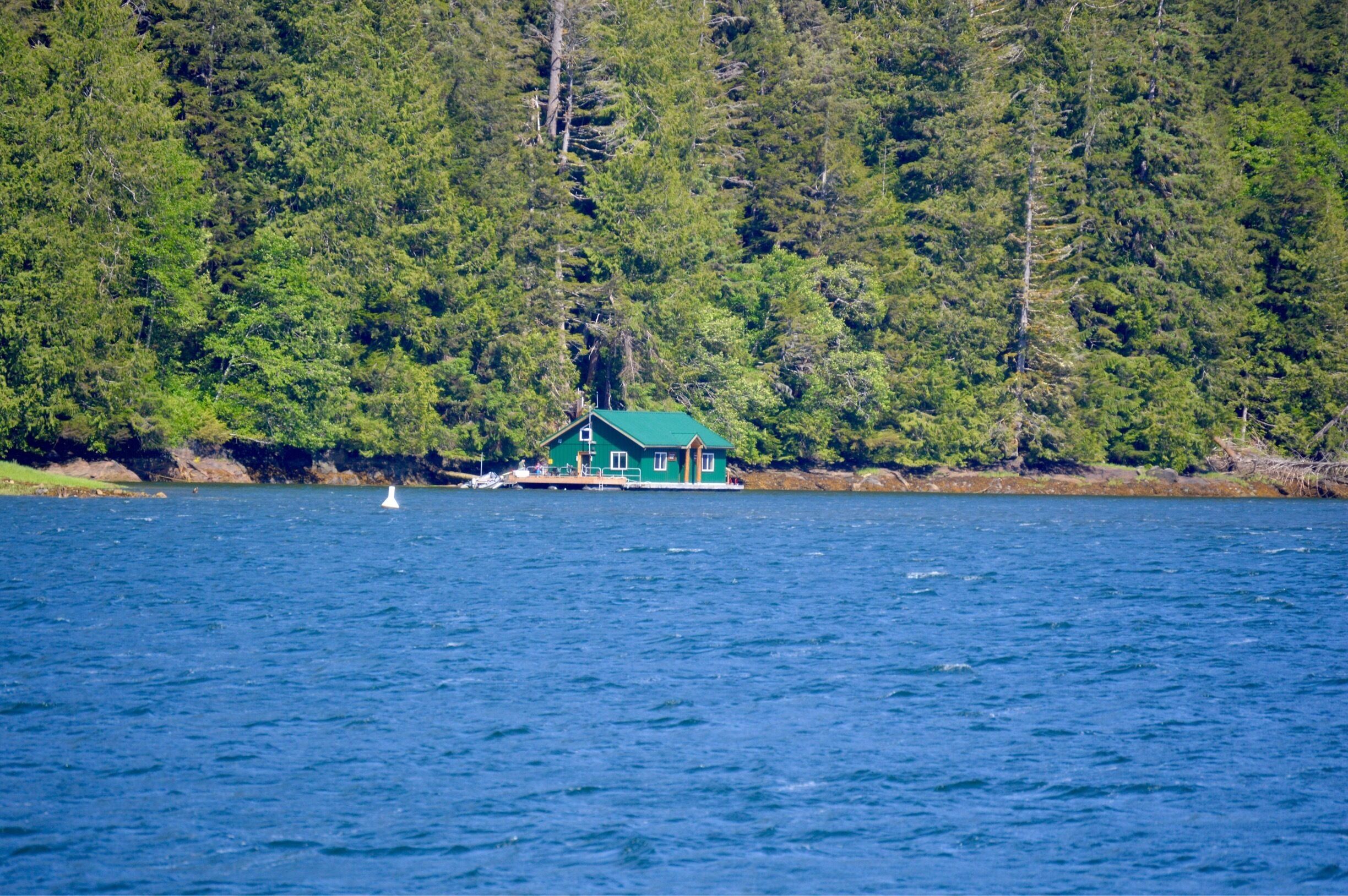 Ranger Station, Bear Sanctuary