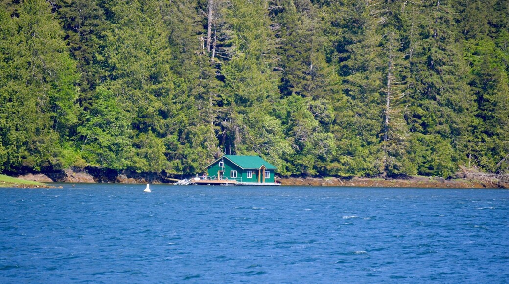 Ranger Station, Bear Sanctuary
