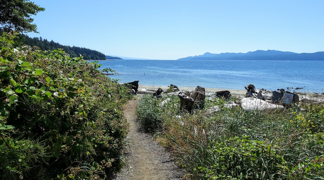 A path or trail leading towards a beautiful beach with the glistening blue ocean in the background on a beautiful sunny day outside Powell River, British Columbia, Canada.