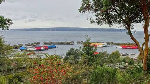 Located in Powell River, BC. When the U.S. entered WWI in 1917, they embarked on a program of shipbuilding to offset heavy losses to merchant shipping from German U-Boats. As steel plate was in such great demand, government support was given for the building of seagoing ferro-concrete ships.
The WWII concrete ship-building program was more successful than its WWI counterpart. Construction was much stronger due to better cement and more steel reinforcements. Concrete bottoms, which eliminated condensation issues in steel ships, were well-suited for carrying dry cargo. These vessels handled well but were only capable of a maximum of 10 knots. All of the dismantled hulks were proud ships in their day - some fought battles of freedom, while others carried full cargoes along the world’s trade routes.
In the late 1940s, after rust and rot holed many of the original steel ships, Macmillan Bloedel settled on the collection of concrete vessels as a more permanent solution to their breakwater dilemma.
(September 2019)
#LocalSecrets #Trovember #History