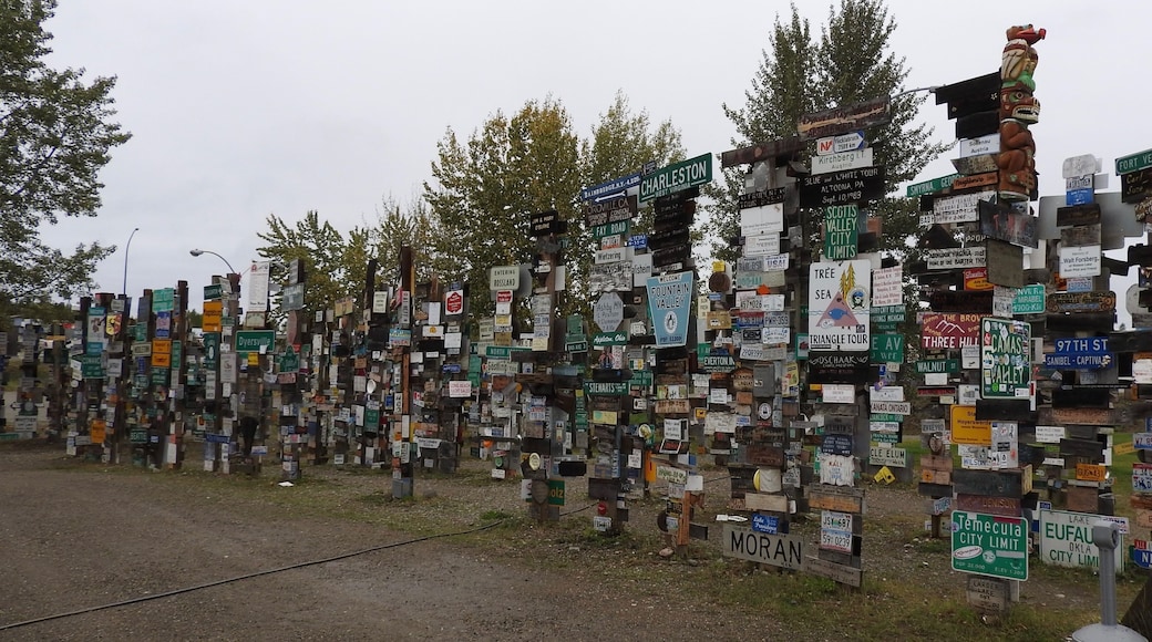 Sign Post Forest is a collection of signs at Watson Lake, Yukon and is one of the most famous of the landmarks along the Alaska Highway. It was started by a homesick GI in 1942. He was assigned light duty while recovering from an injury and erected the signpost for his hometown: Danville, Ill. 2835 miles. Visitors may add their own signs to the over 80,000 already present.
#LikeALocal
