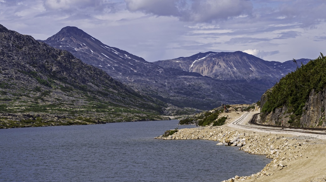 Narrow Guage Railroad Tracks South of Fraser British Columbia near White Pass Summit