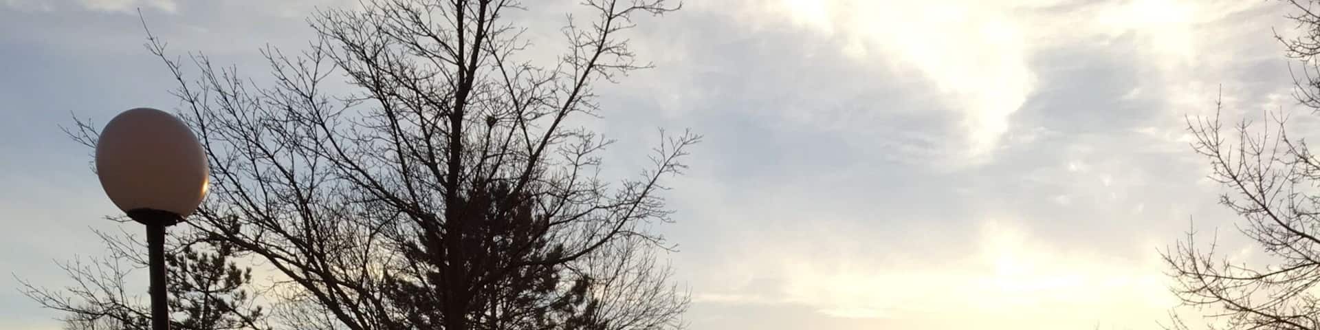 The campus has nice little lights that come on at night.