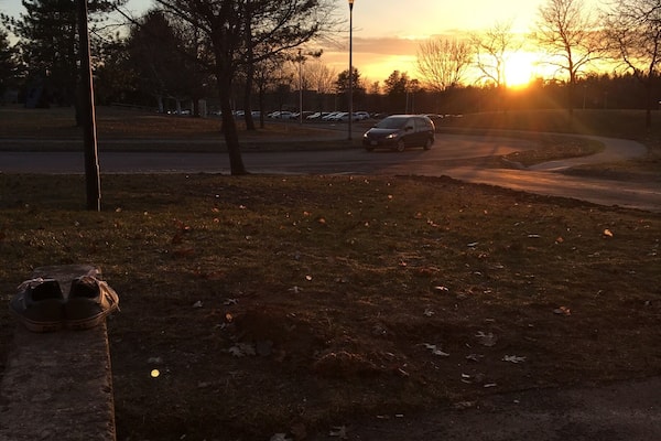 The campus has nice little lights that come on at night.