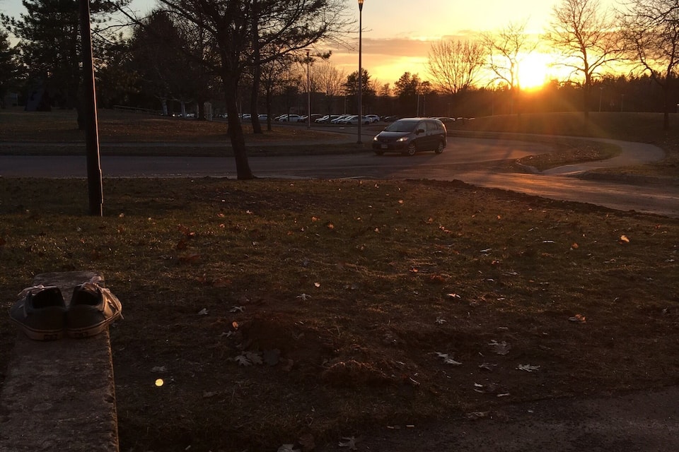 A sunset over a parking lot with cars and a street lamp.