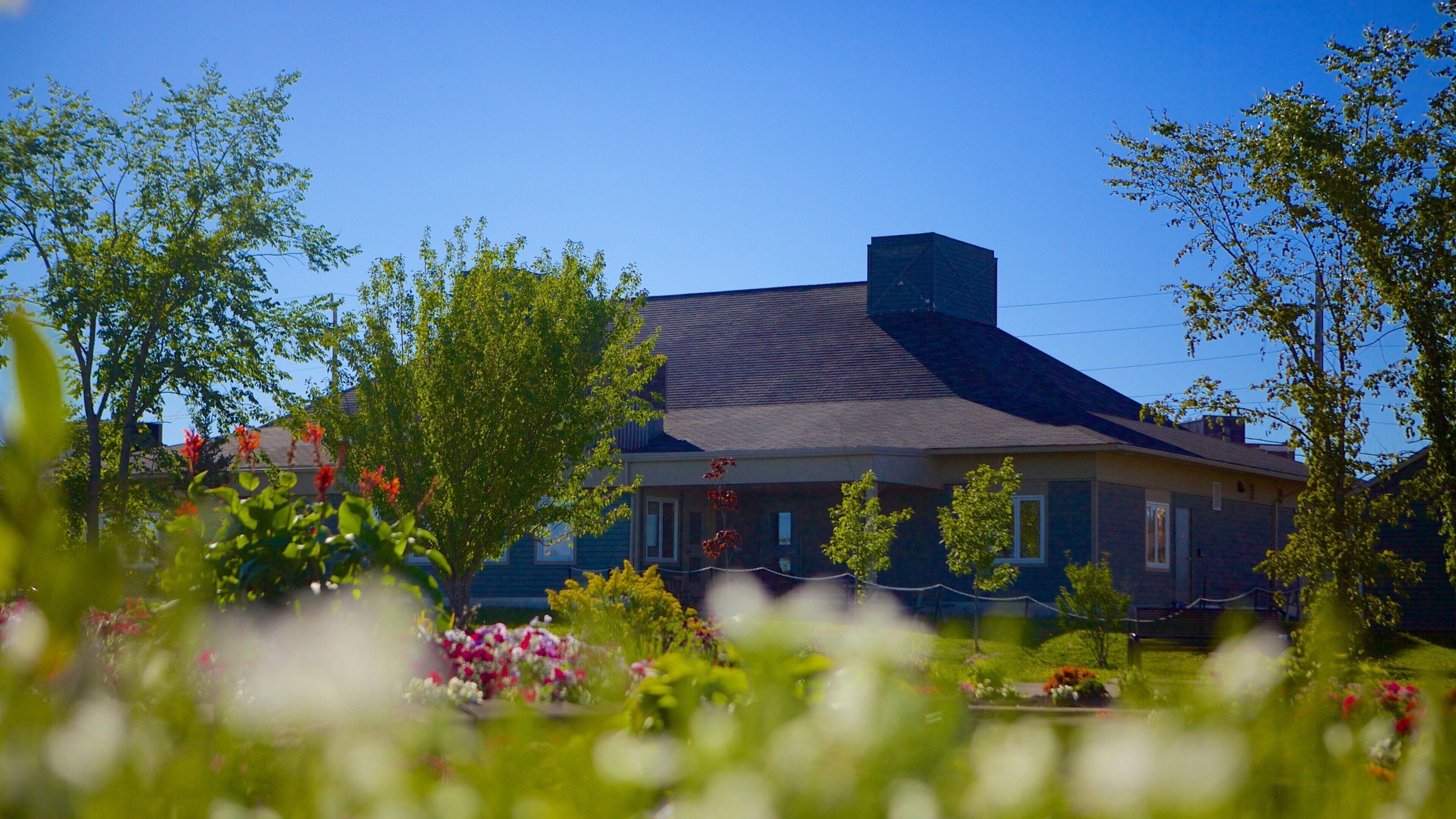 Moncton which includes a garden, a house and flowers