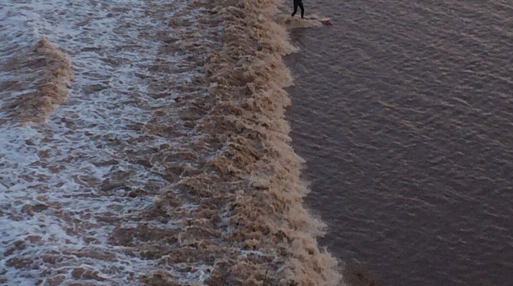 This is a remarkable spot. The Tidal Bore comes in at the gallop of a horse.