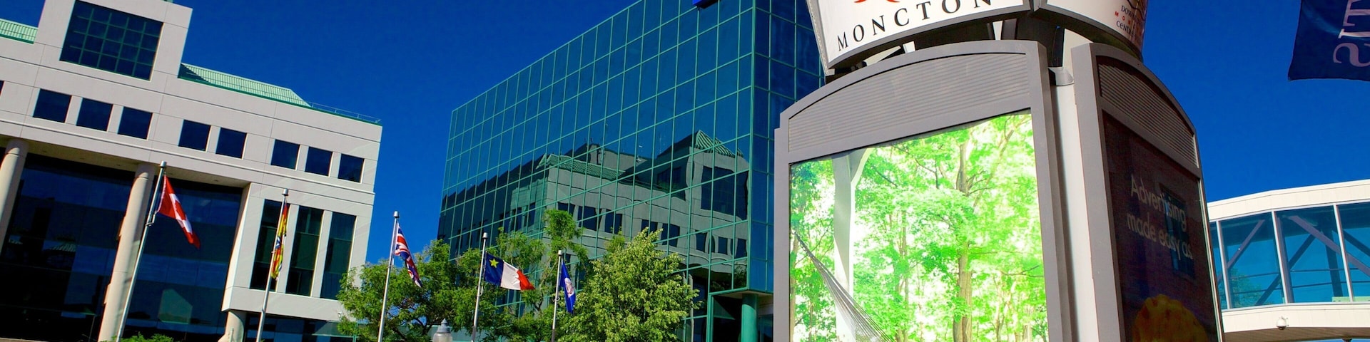Moncton showing signage and a city