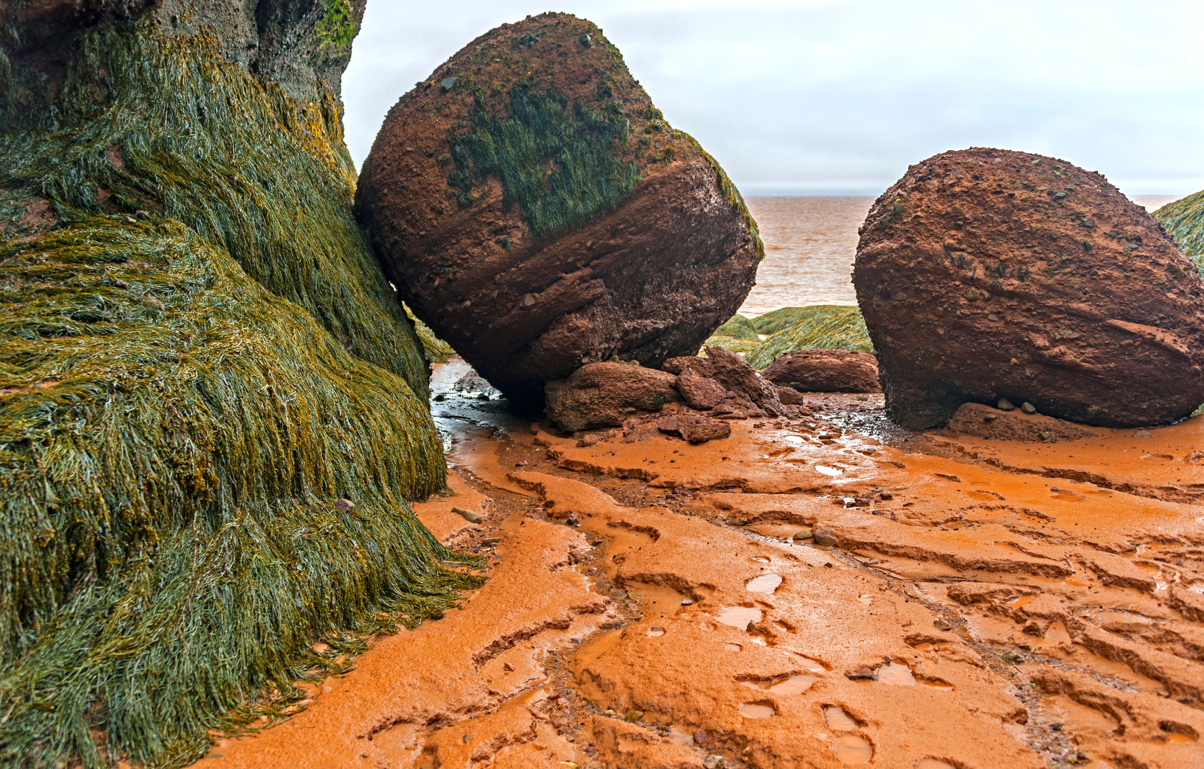 A rocky shoreline with moss-covered boulders and a muddy beach.