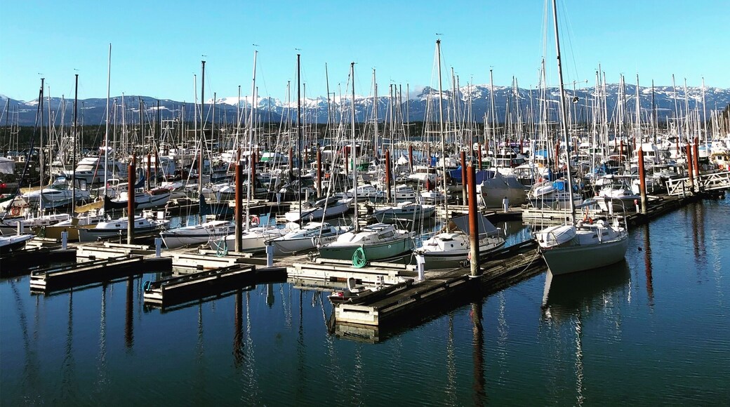 A stunning day overlooking the marina with the Comox Glacier in the background.