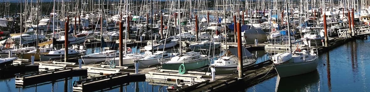 A stunning day overlooking the marina with the Comox Glacier in the background.