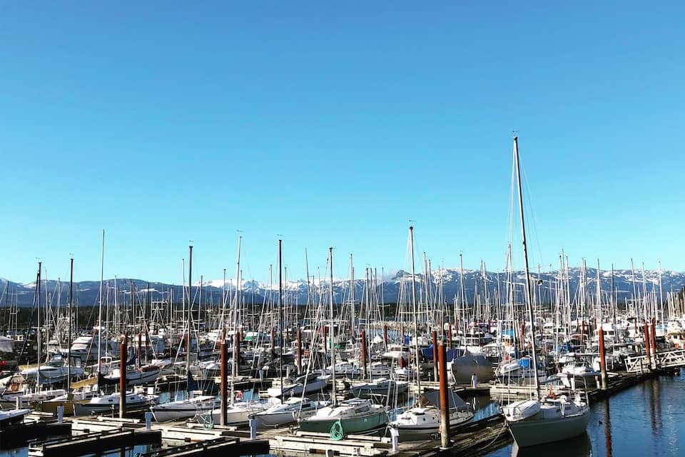 A marina filled with numerous sailboats docked at wooden piers, with a clear blue sky and snow-capped mountains in the background.