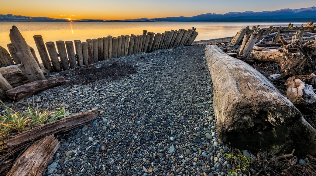 Clear morning at Goose Spit Regional Park, Comox, Vancouver Island, British Columbia, Canada