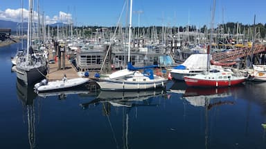 The pleasure craft harbour at Comox. Comox is a lovely town of about 15,000 people on the southern coast of the Comox Peninsula in the Georgia Strait on the eastern coast of Vancouver Island, British Columbia. The town has become a popular tourist attraction due to its good fishing, local wildlife, year-round golf and proximity to the Mount Washington ski area, the Forbidden Plateau, and Strathcona Provincial Park.