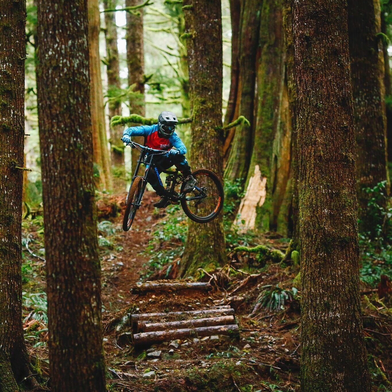 Biking in Vancouver island's old growth forest.