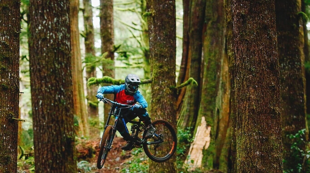 Biking in Vancouver island's old growth forest.