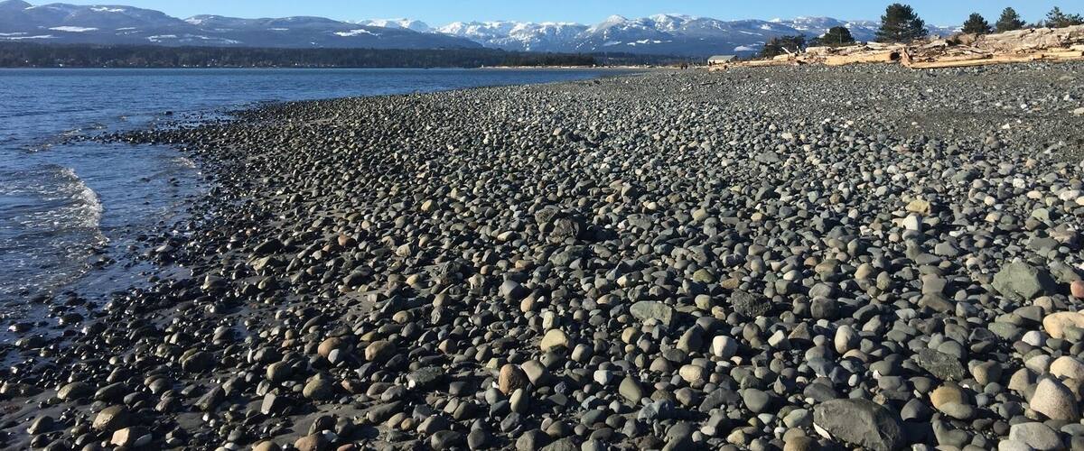 #WinterWonders
It was stunning winter morning for a walk along the spit with the snow capped peaks of the Vancouver Island Range in the background!