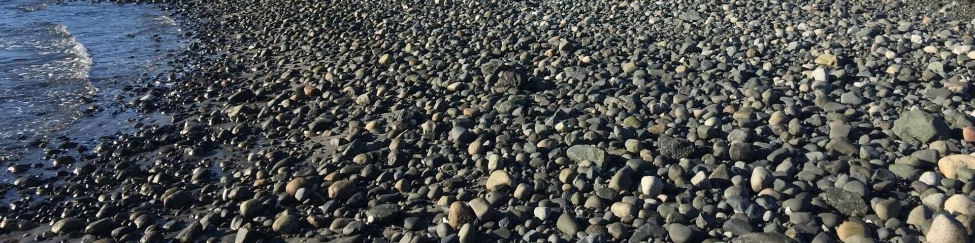 #WinterWonders
It was stunning winter morning for a walk along the spit with the snow capped peaks of the Vancouver Island Range in the background!