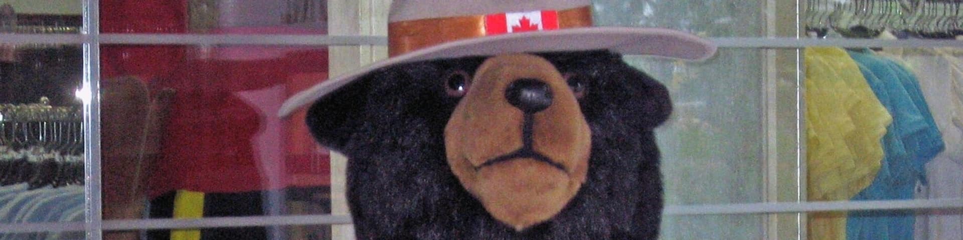 Here is "Mountie" the bear at The Royal Canadian Mounted Police Heritage Centre in Regina, Saskatchewan. A fascinating museum with a lot of detail on the history of the RCMP. And the shop sells some really good quality goods at fairly reasonable prices. Not the usual rip-off you find at similar establishments.