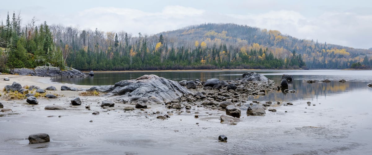 A rocky shoreline with a calm lake, surrounded by dense forest with autumn-colored trees.