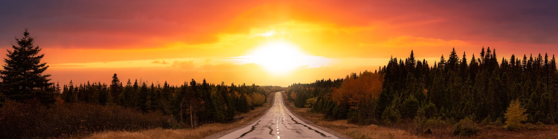 Scenic highway during a vibrant sunny day in the fall season. Colorful and Dramatic Sunset Sky Art Render. Taken in Newfoundland, Canada. Beautiful Adventure Background Panorama