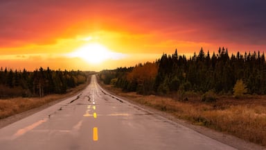 Scenic highway during a vibrant sunny day in the fall season. Colorful and Dramatic Sunset Sky Art Render. Taken in Newfoundland, Canada. Beautiful Adventure Background Panorama