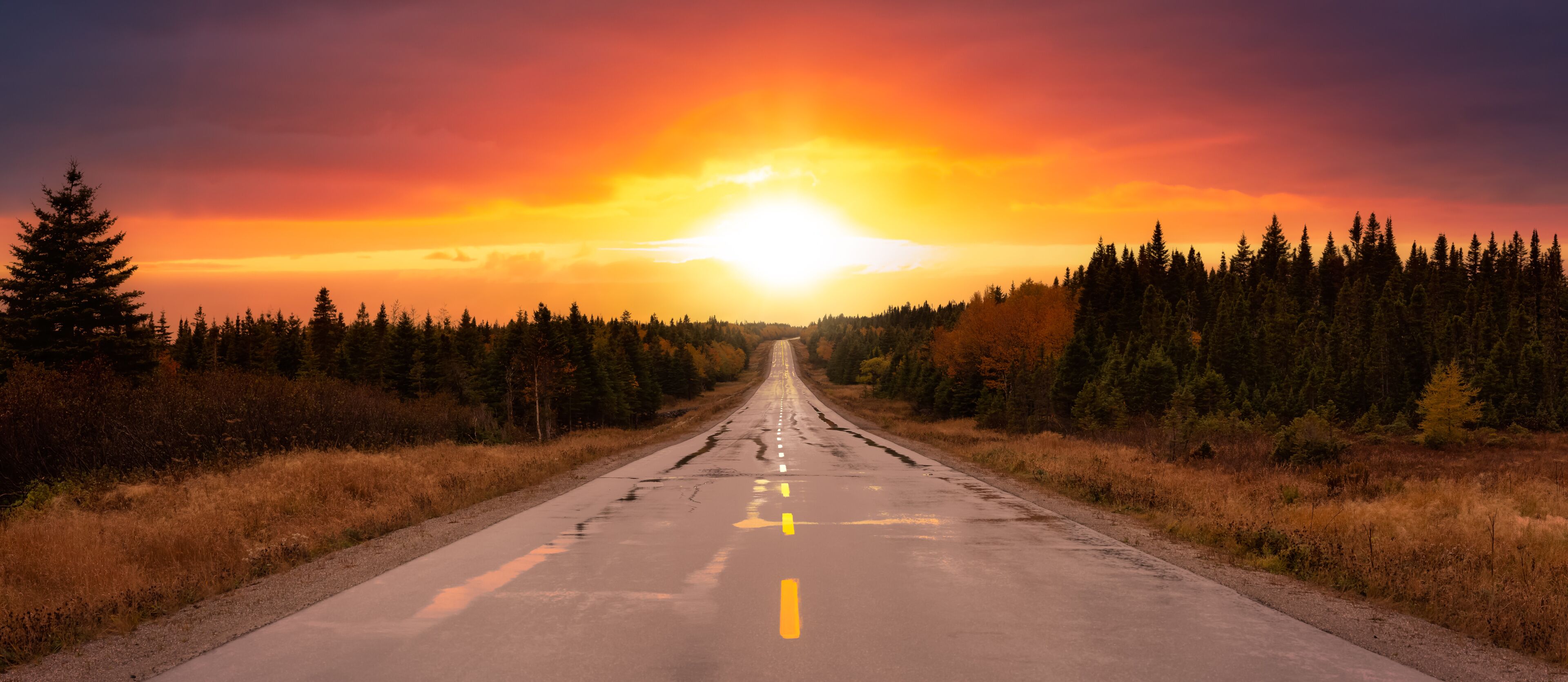 A road flanked by dense forests under a sunset sky.