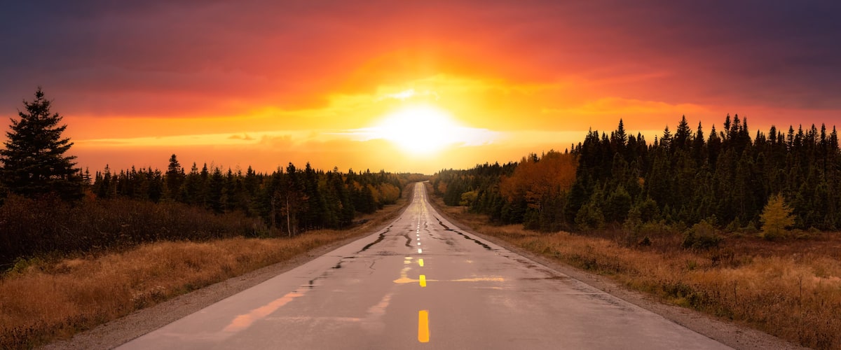 A road flanked by dense forests under a sunset sky.
