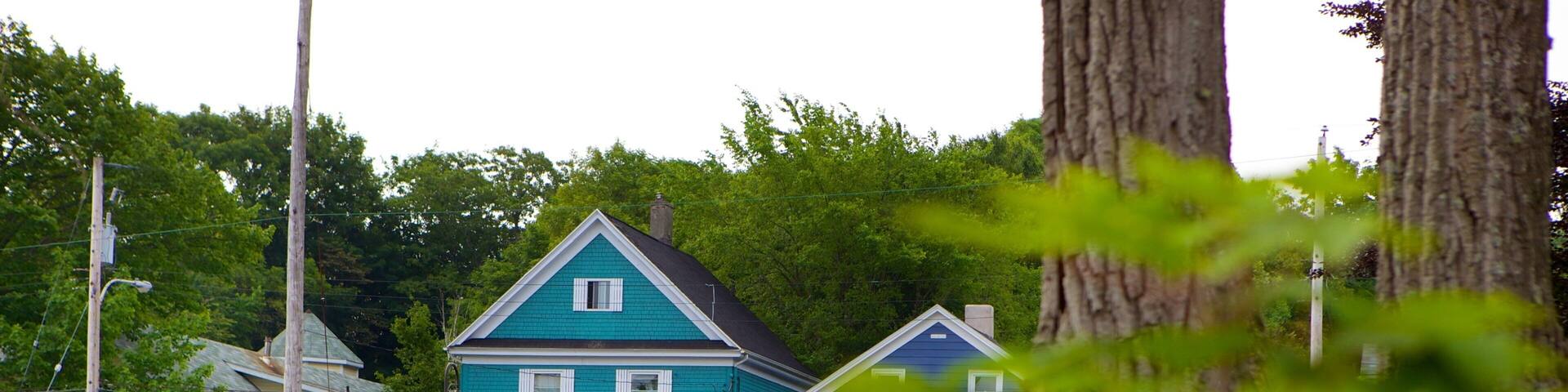 Sydney showing a house and a small town or village