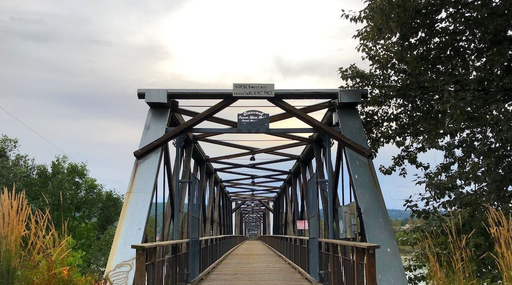 The Old Fraser River Bridge is the longest wooden truss walking bridge in the world (832 ft.) (September 2019)
#Trovember