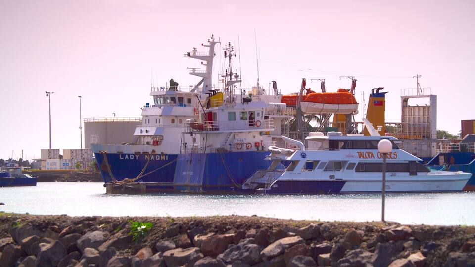 Un gran carguero llamado "Lady Naomi" atracado en un puerto, con embarcaciones más pequeñas cerca.